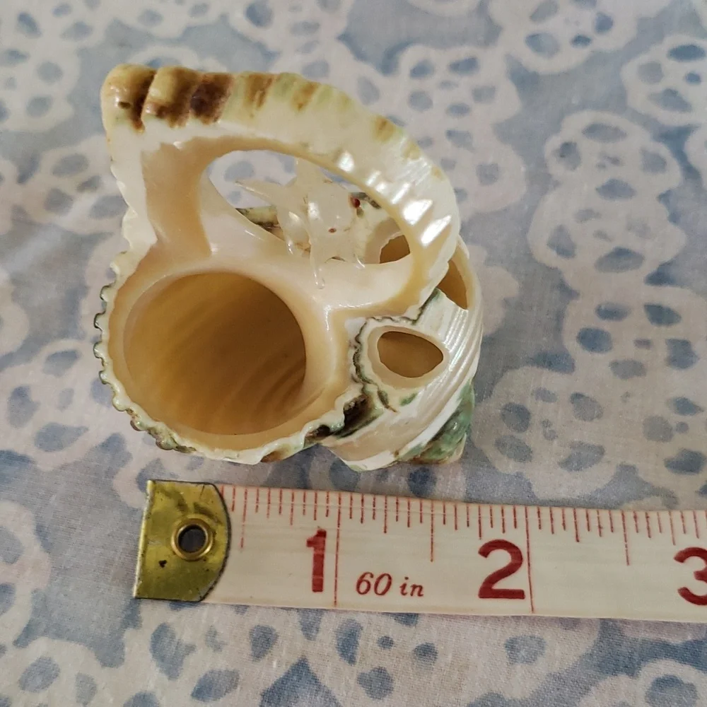 Carved Seashell with Rabbit - Picture 14 of 15